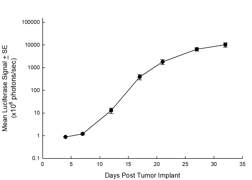 SW 780 Human Bladder Carcinoma