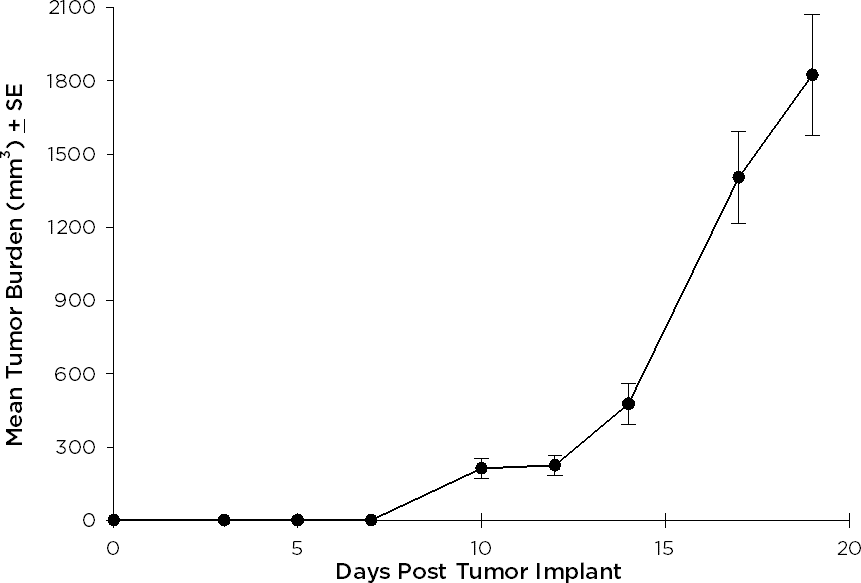 SW 780 Human Bladder Carcinoma