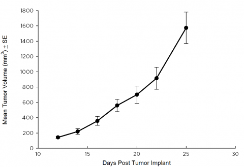 SW 780 Human Bladder Carcinoma