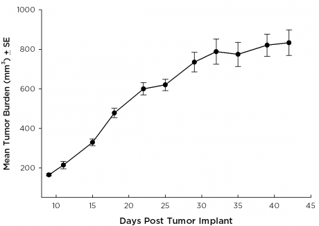 SW 780 Human Bladder Carcinoma