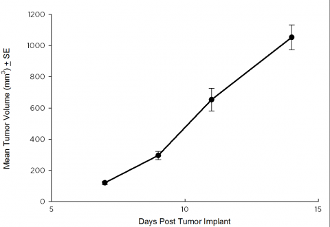 SW 780 Human Bladder Carcinoma