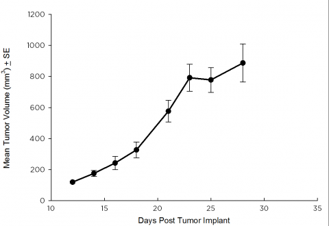 SW 780 Human Bladder Carcinoma