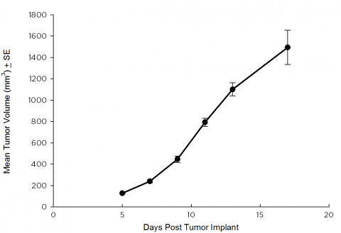 SW 780 Human Bladder Carcinoma