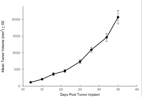 SW 780 Human Bladder Carcinoma