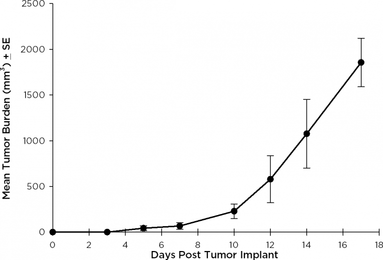 SW 780 Human Bladder Carcinoma