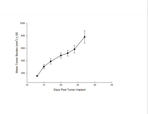 SW 780 Human Bladder Carcinoma