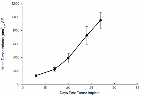 SW 780 Human Bladder Carcinoma