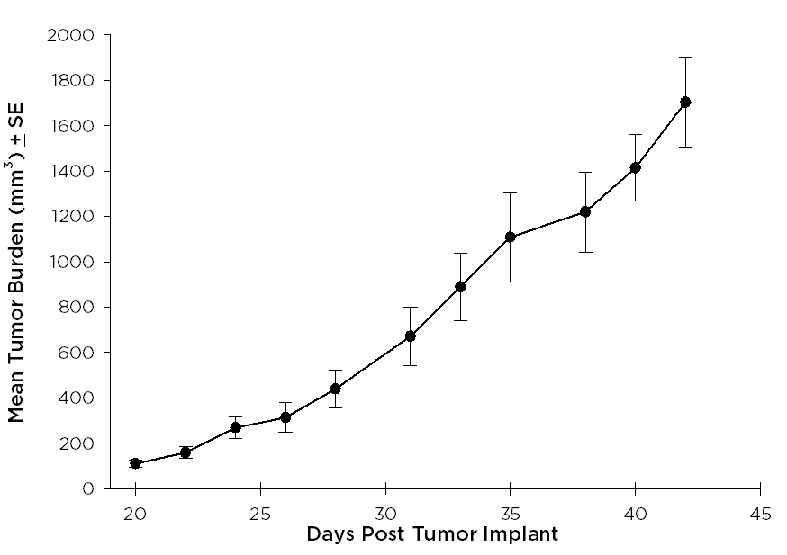 SW 780 Human Bladder Carcinoma