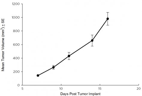 SW 780 Human Bladder Carcinoma