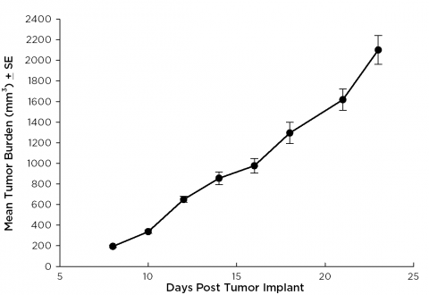 SW 780 Human Bladder Carcinoma