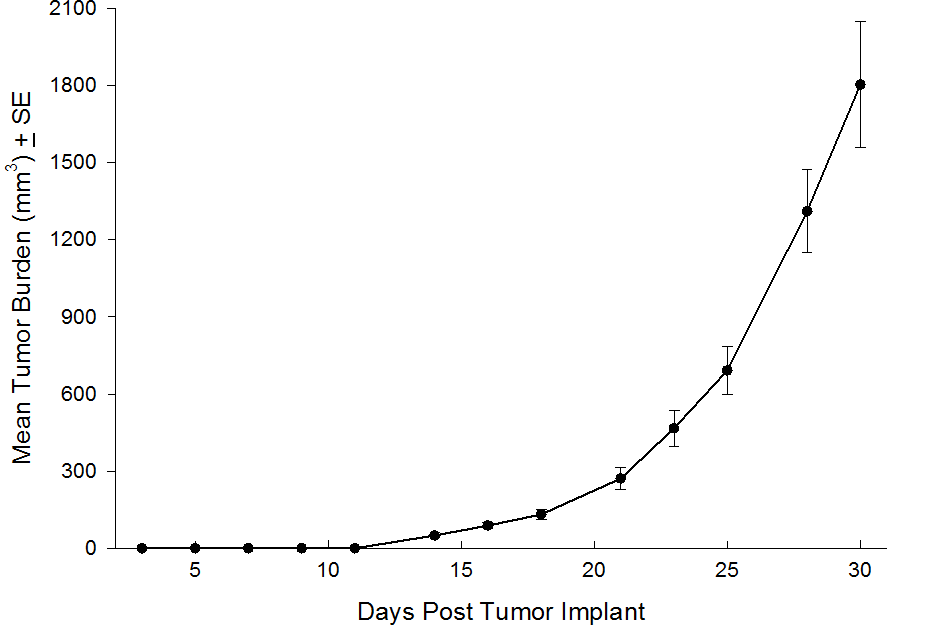 SW 780 Human Bladder Carcinoma