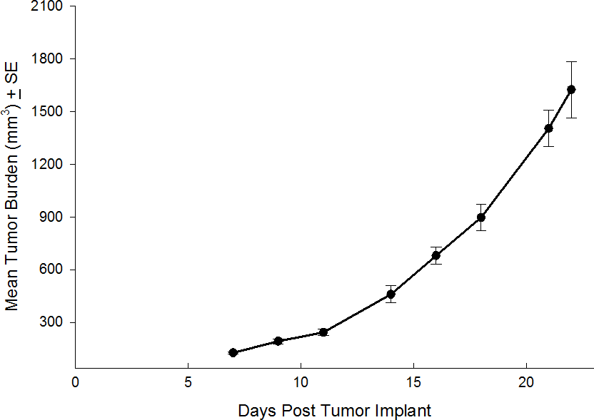 SW 780 Human Bladder Carcinoma