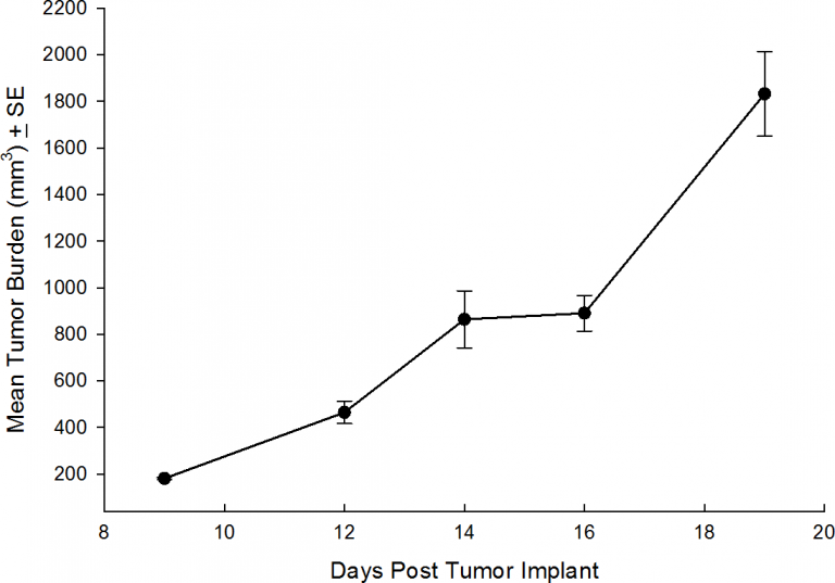 SW 780 Human Bladder Carcinoma