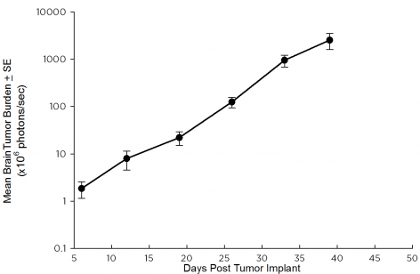 SW 780 Human Bladder Carcinoma