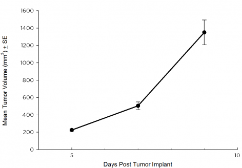 SW 780 Human Bladder Carcinoma