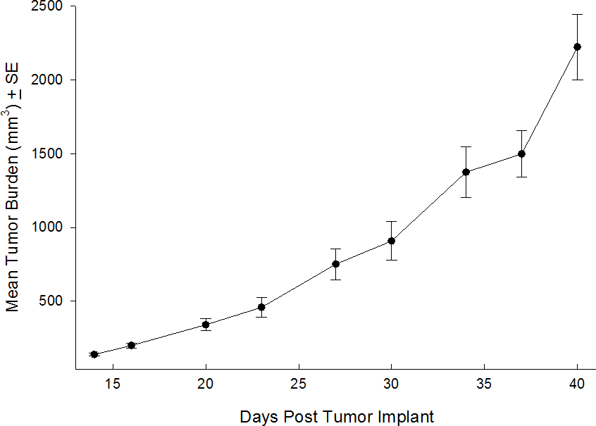 SW 780 Human Bladder Carcinoma