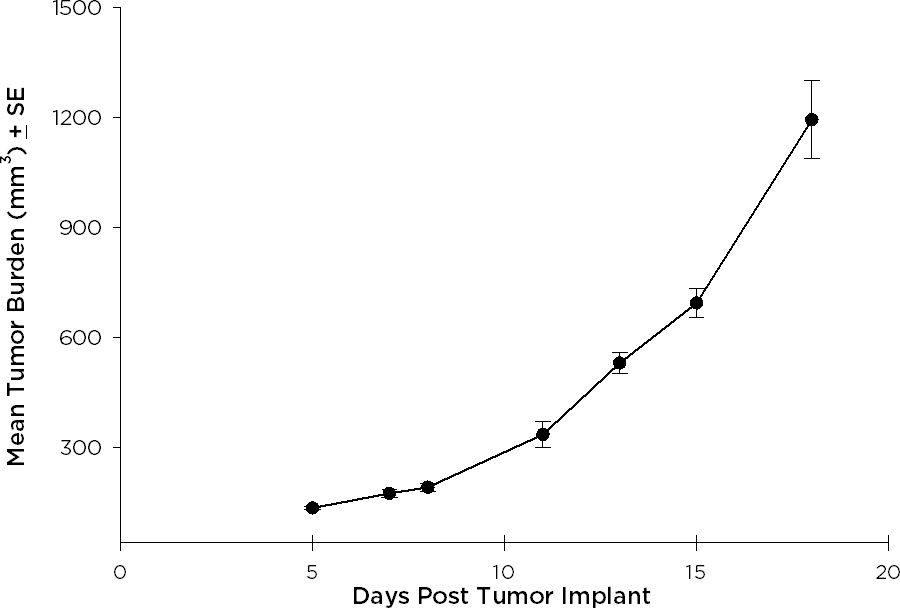 SW 780 Human Bladder Carcinoma