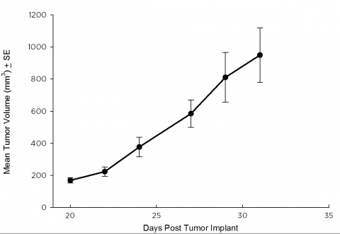 SW 780 Human Bladder Carcinoma