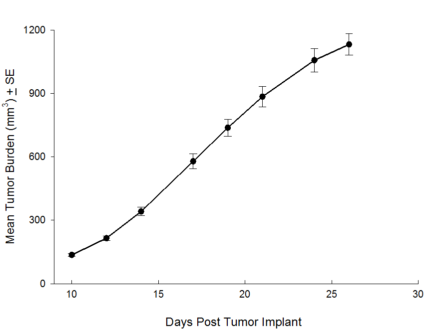 SW 780 Human Bladder Carcinoma