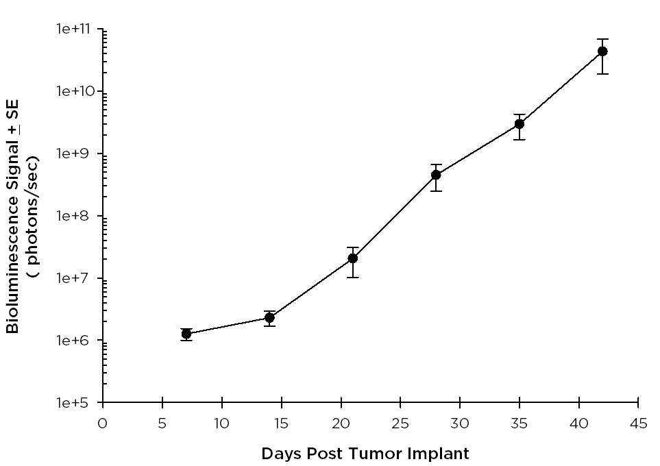 SW 780 Human Bladder Carcinoma