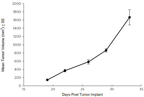 SW 780 Human Bladder Carcinoma