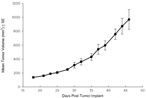 SW 780 Human Bladder Carcinoma