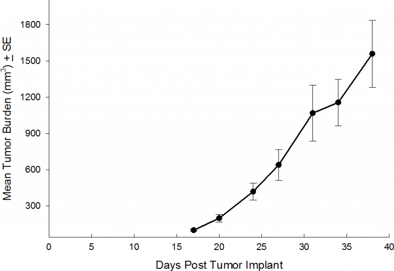 SW 780 Human Bladder Carcinoma