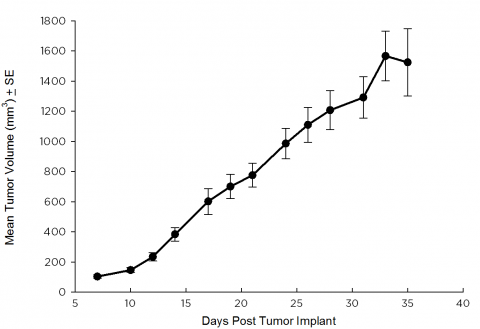 SW 780 Human Bladder Carcinoma