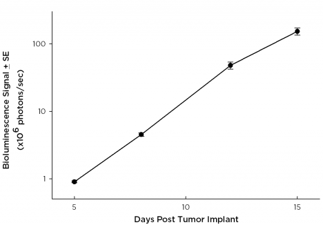 SW 780 Human Bladder Carcinoma