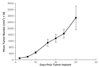 SW 780 Human Bladder Carcinoma