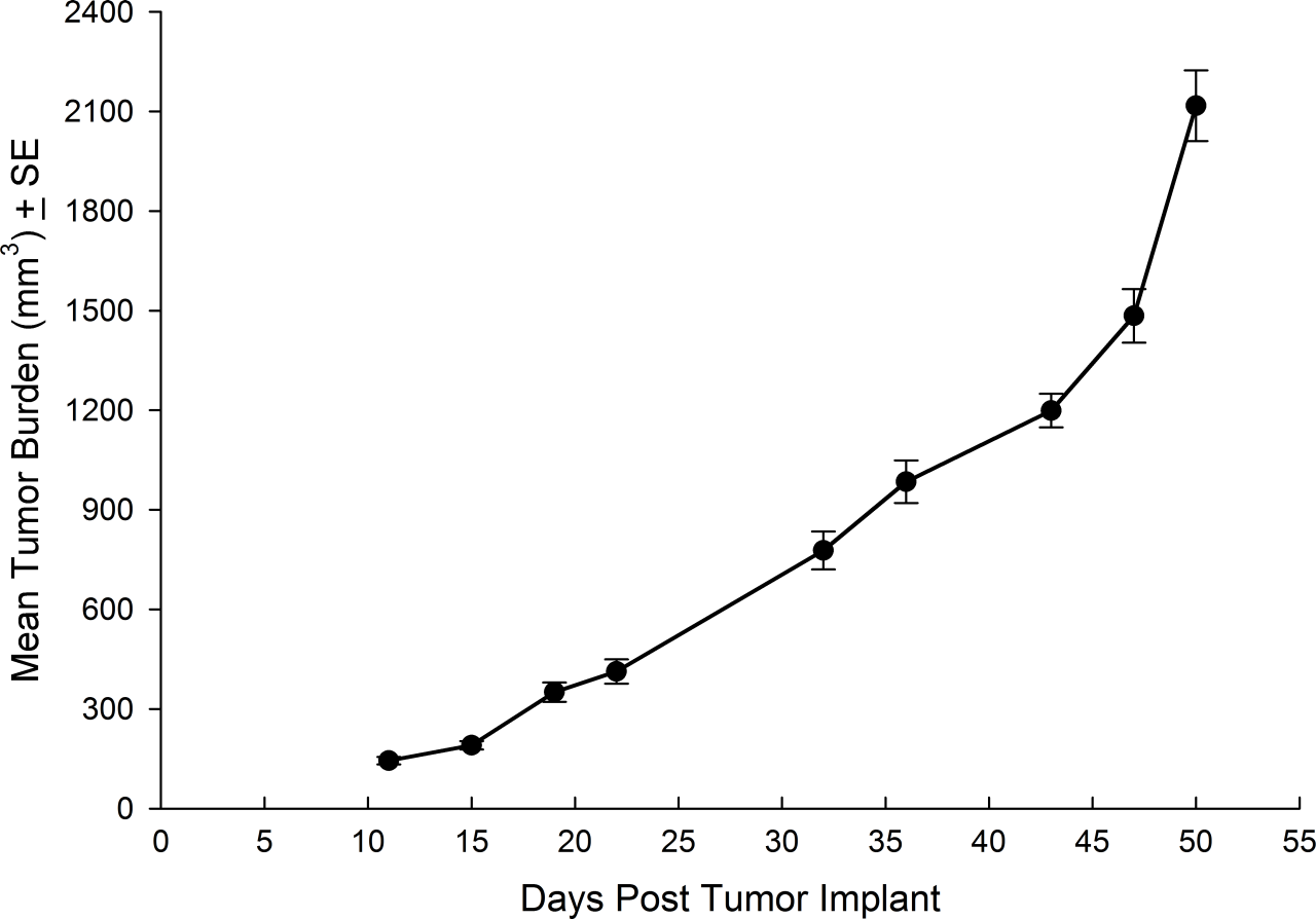 SW 780 Human Bladder Carcinoma