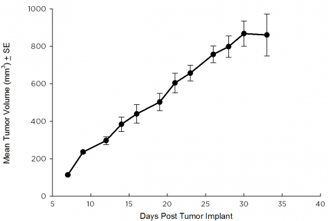 SW 780 Human Bladder Carcinoma