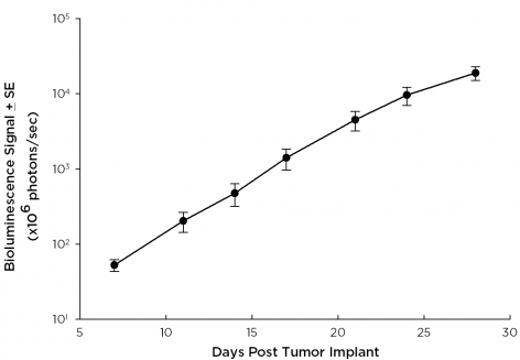 SW 780 Human Bladder Carcinoma