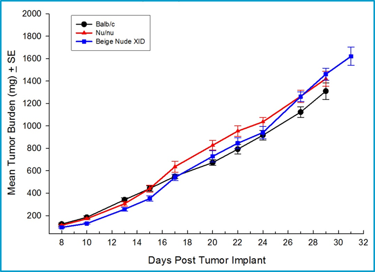  Orthotopic growth of 4T1-luc2 in multiple strains of mice including syngeneic Balb/c mice.