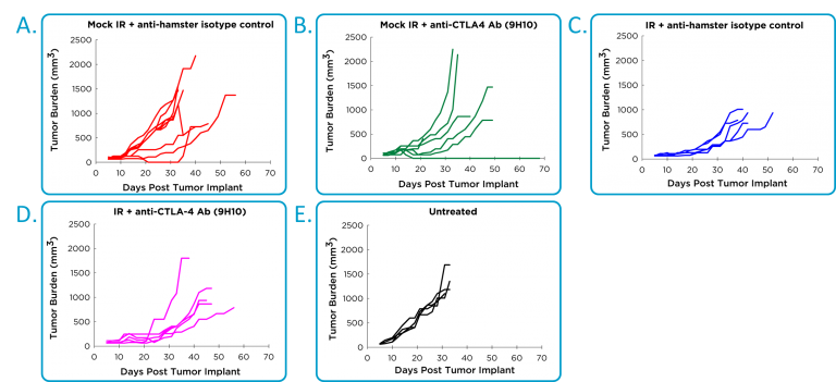  Efficacy of anti-CTLA-4 and localized radiotherapy in orthotopic 4T1-luc2 mammary tumor model.