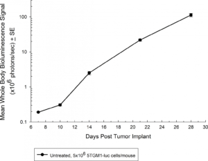 Fig. 1: Growth Kinetics of 5TGM1-luc in Immune-Competent C57BL/KaLwRij Mice by BLI