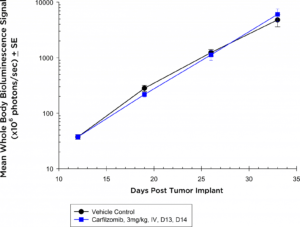 Fig. 3a: Anti-tumor Effects of Carfilzomib on Disseminated 5TGM1-luc Disease in NIH-III Nude Mice