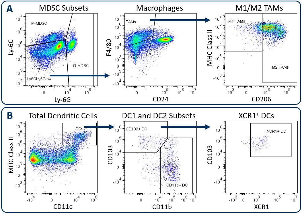 Figure. 1. Analysis of tumor-infiltrating myeloid subsets using the Expanded CompMyeloid™ panel. 