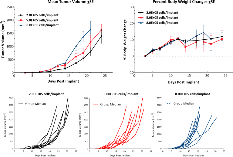 Fig. 1: Growth Kinetics and Body Weight Change Following Intradermal Implant of B16-F10 in C57BL/6 Mice.