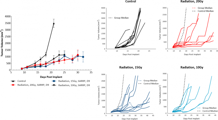 Fig. 4: Response of B16-F10 Tumors to Focal Radiation in C57BL/6 Mice.