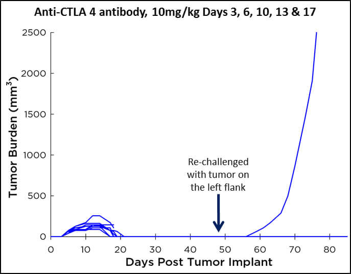 C26 Murine Colon Carcinoma Growth Chart