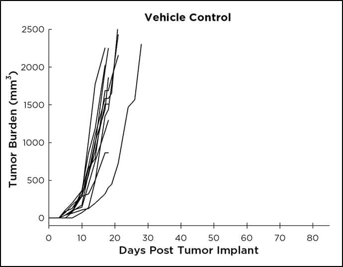 Vehicle Control