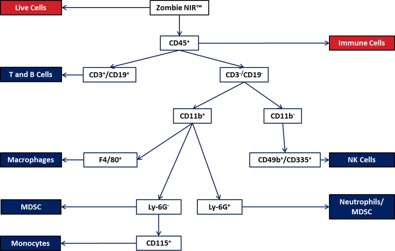 Cell Table