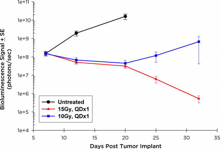 Fig. 1: Orthotopic GL261-luc: BLI Signal Over Time in the Brain