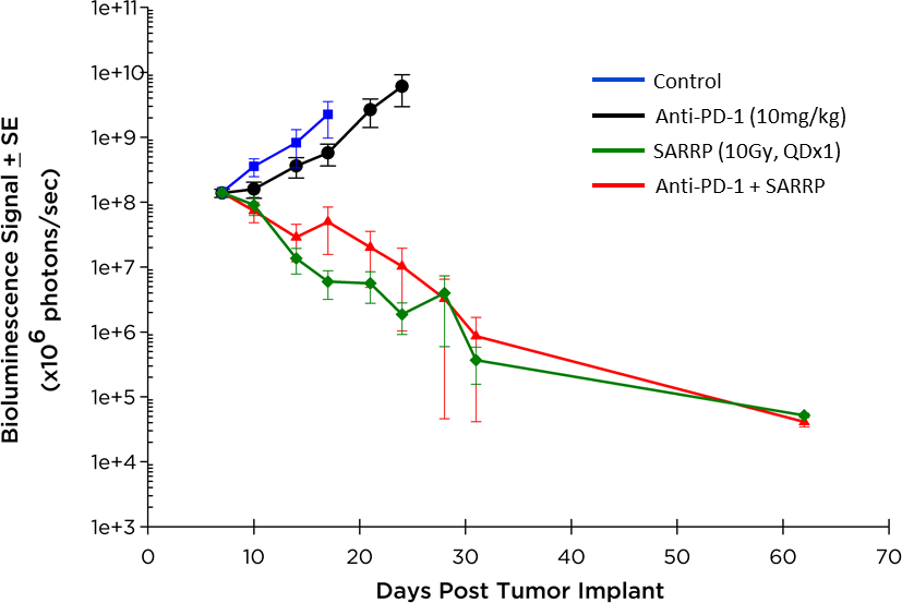 Fig. 3: Orthotopic GL261-luc: BLI Signal Over Time in the Brain