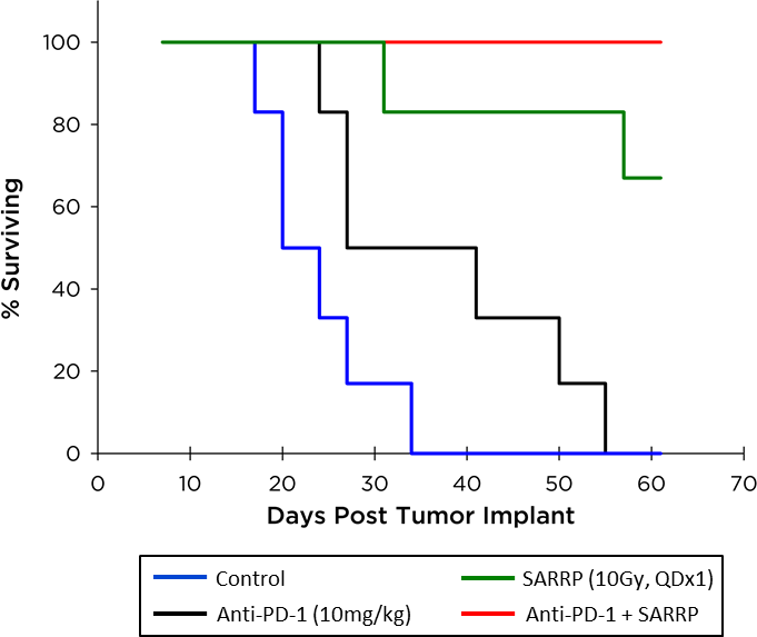 Fig. 4: Orthotopic GL261-luc: Overall Survival (Morbidity/Mortality)