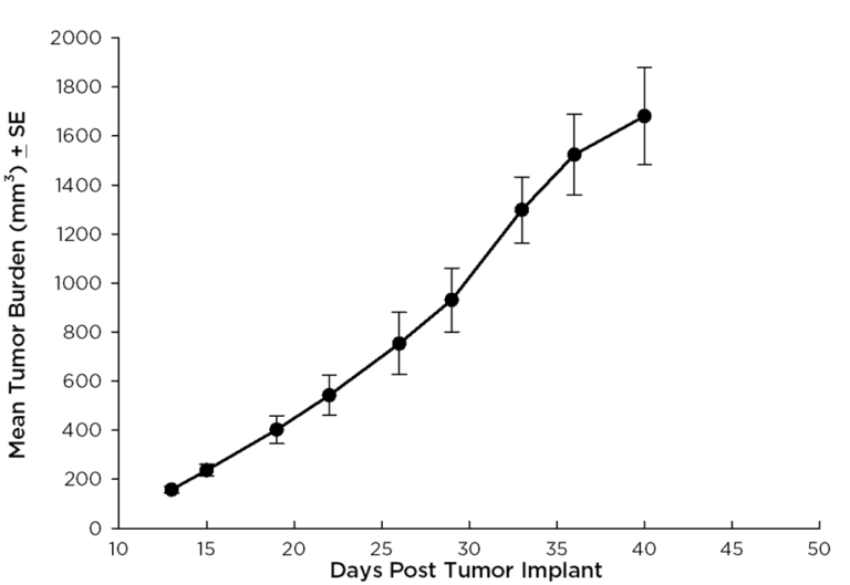 Fig. 1: Subcutaneous Growth of HT-29 Fragments Implanted Into nu/nu Mice