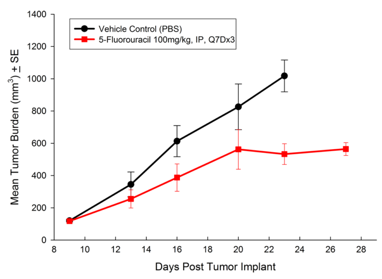 Fig. 2: Subcutaneous Growth of HT-29 Following Treatment with 5-Fluorouracil