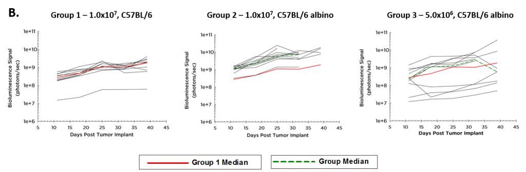 Figure 1B – Growth Kinetics of Tumor-ID8-Luc-mCh-Puro