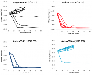 Fig. 1B: Intraperitoneal ID8-luc: Individual Animal Whole Body BLI Signal Over Time